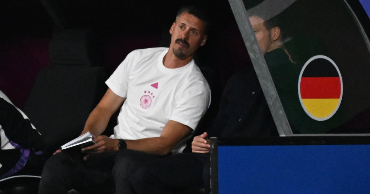 Sandro Wagner verlässt DFB-Team im Sommer